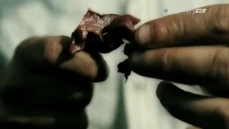 Кадры из ТВ шоу Речные монстры (2009)